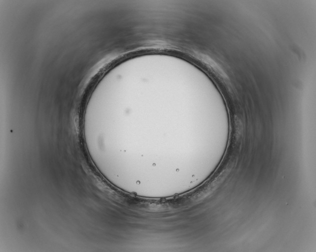 X0000111431318200908031323