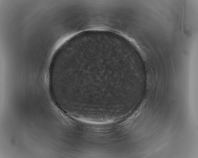 X0000111431319200908031323