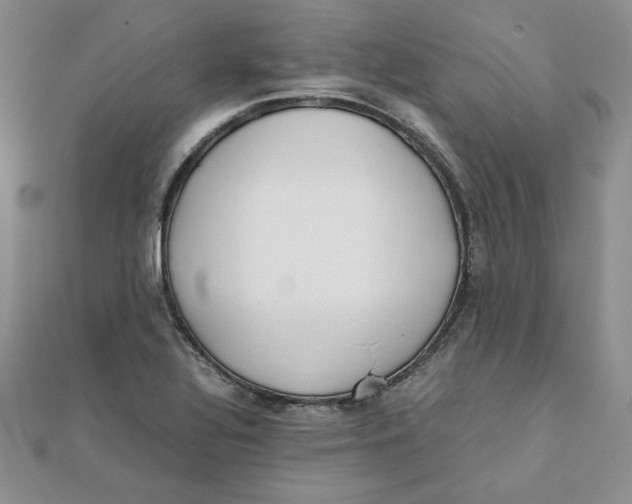 X0000111431320200908031323