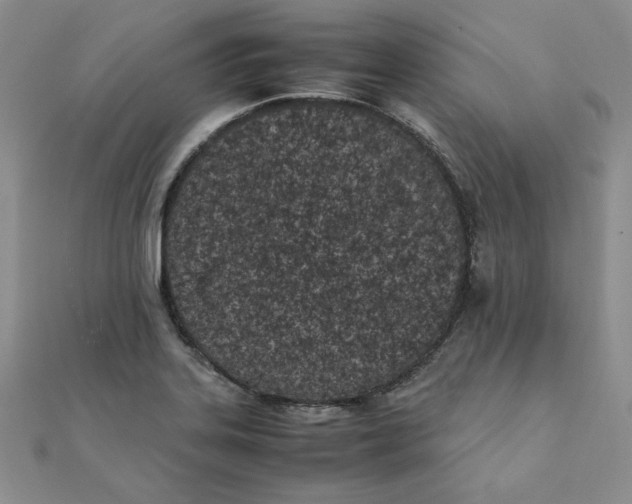 X0000111431323200908031323