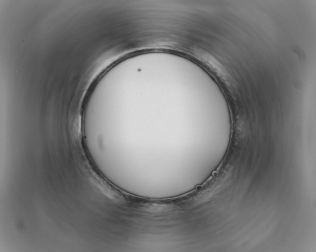 X0000111431324200908031323