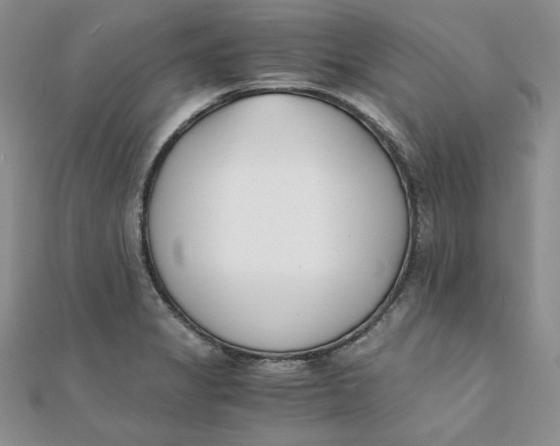 X0000111431325200908031323