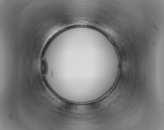 X0000111431326200908031323