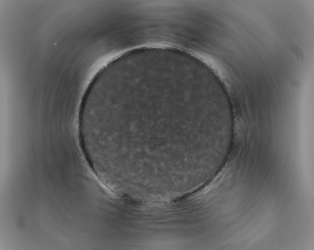 X0000111431327200908031323