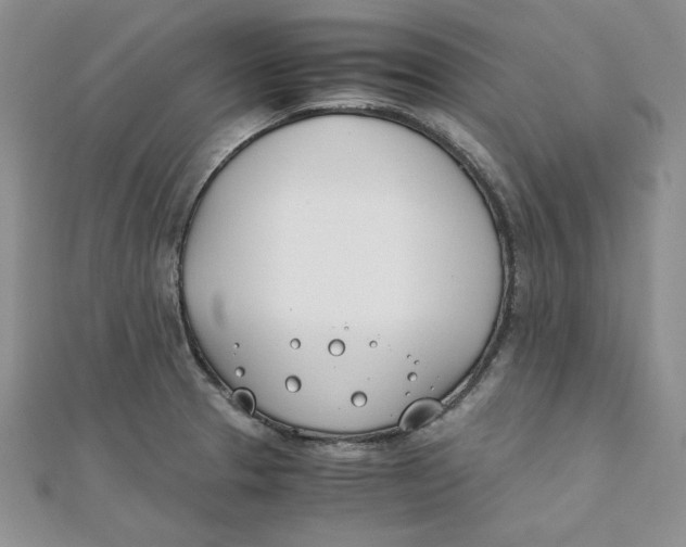 X0000111431329200908031323