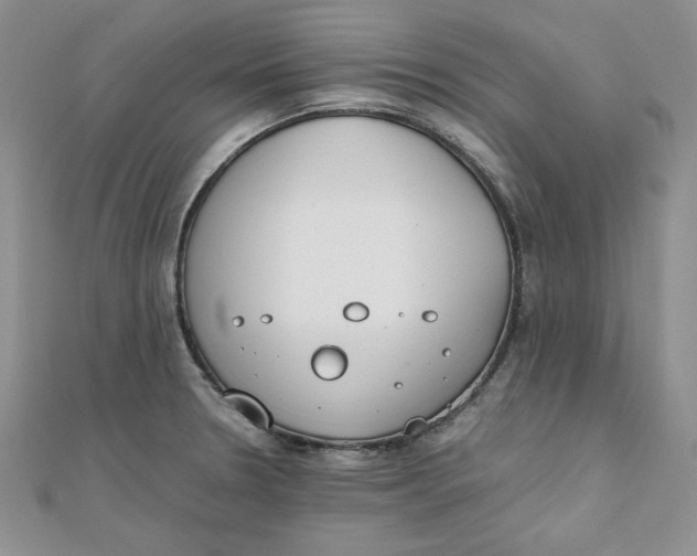 X0000111431330200908031323