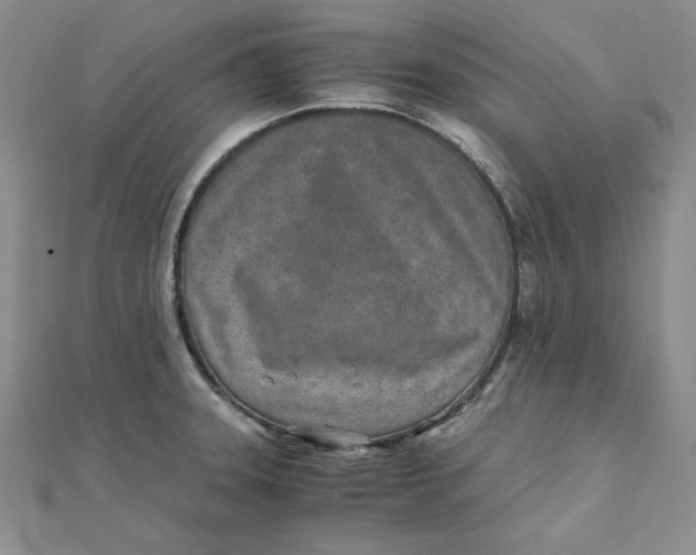 X0000111431331200908031323