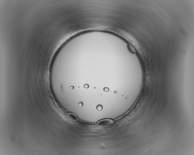 X0000111431332200908031323