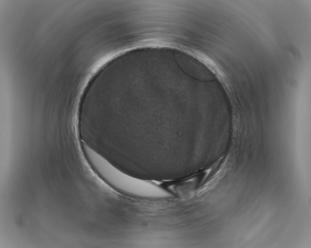 X0000111431334200908031323