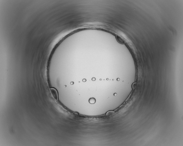 X0000111431336200908031323