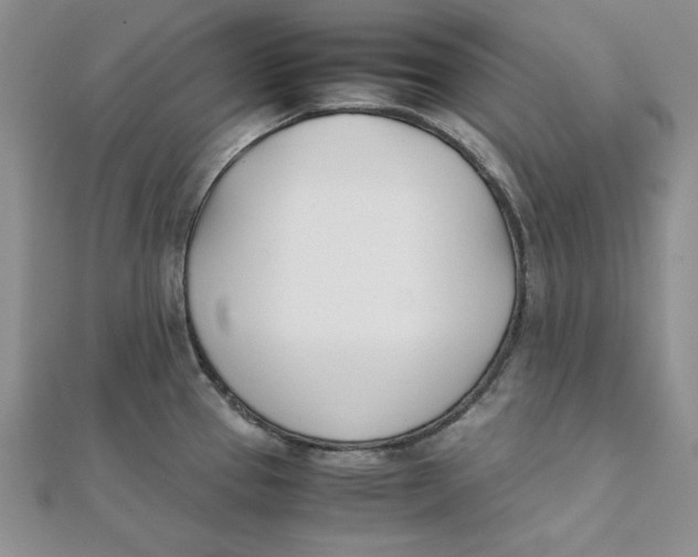 X0000111431337200908031323