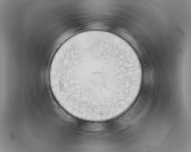 X0000111431338200908031323