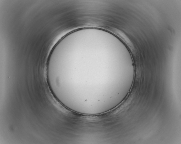 X0000111431340200908031323