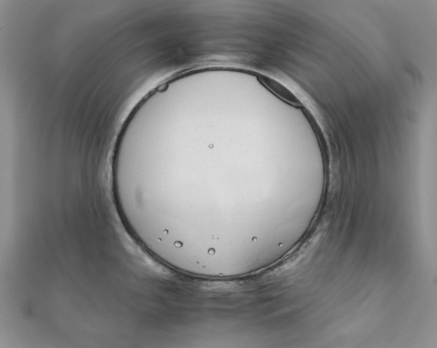 X0000111431341200908031323