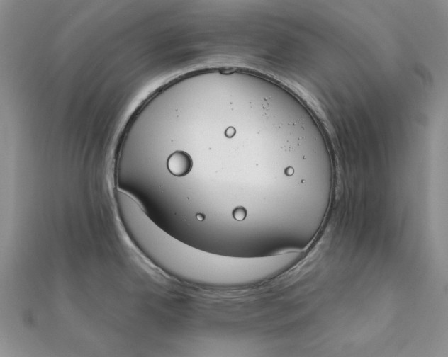 X0000111431342200908031323