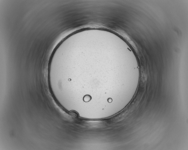 X0000111431343200908031323