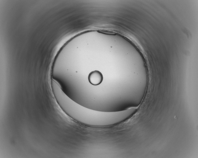 X0000111431344200908031323