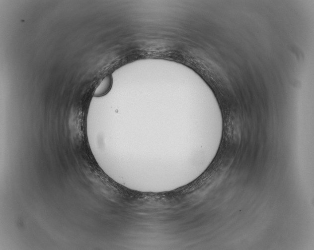 X0000111431346200908031323