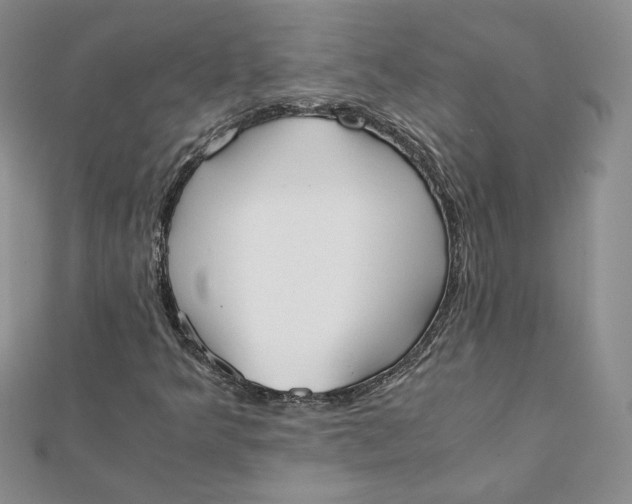 X0000111431349200908031323