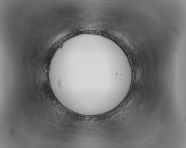 X0000111431350200908031323