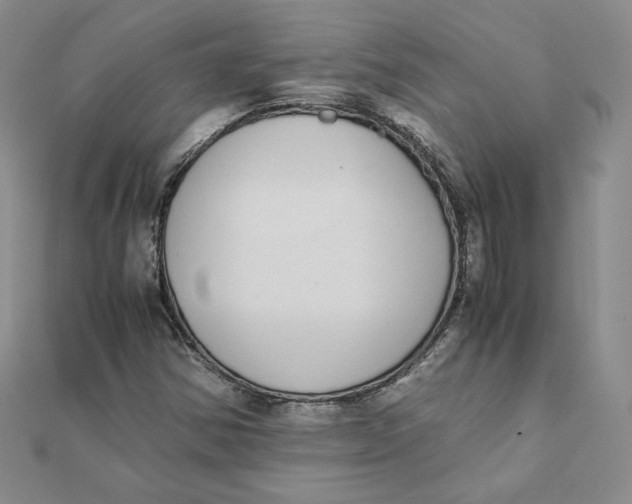 X0000111431354200908031322