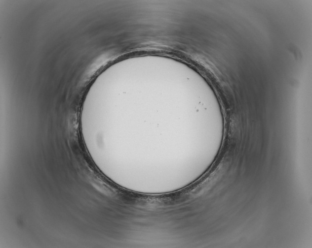 X0000111431355200908031322