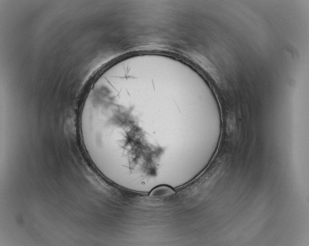 X0000111431356200908031322