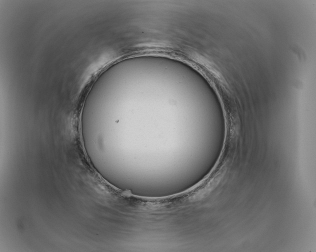 X0000111431357200908031322