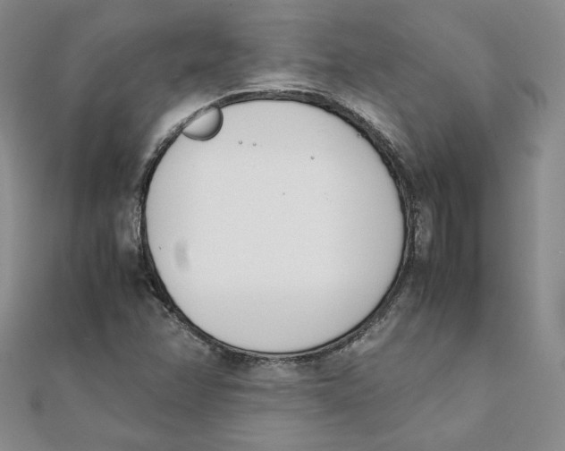 X0000111431358200908031322