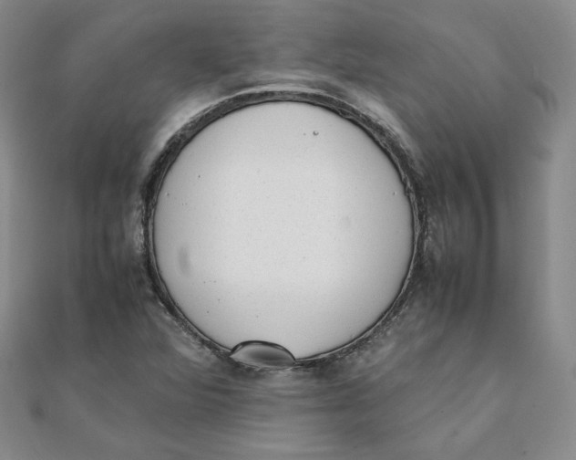 X0000111431360200908031322