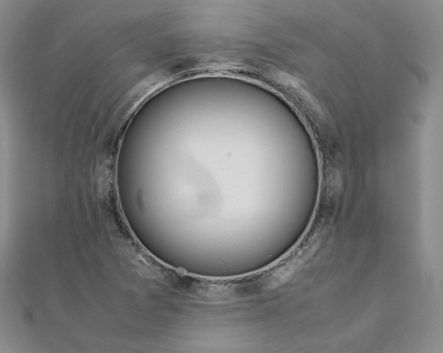 X0000111431361200908031322