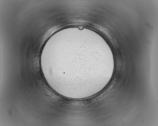 X0000111431362200908031322