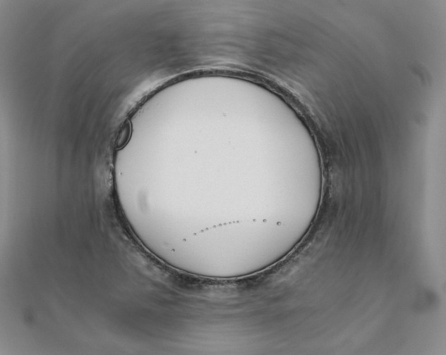 X0000111431363200908031322