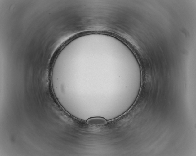 X0000111431364200908031322