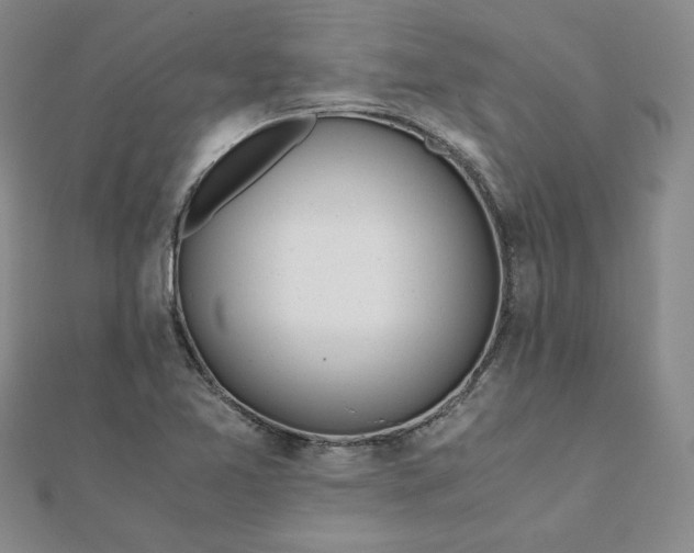 X0000111431365200908031322