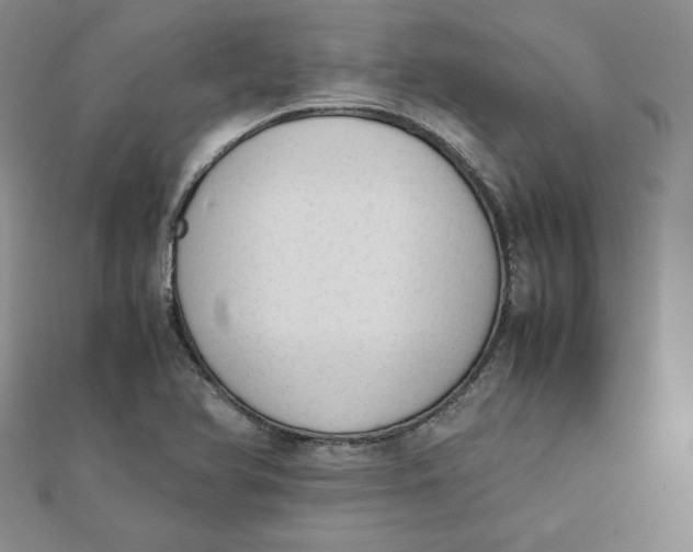 X0000111431366200908031322