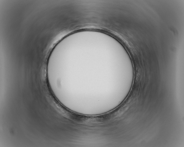 X0000111431367200908031322