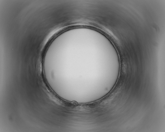 X0000111431368200908031322