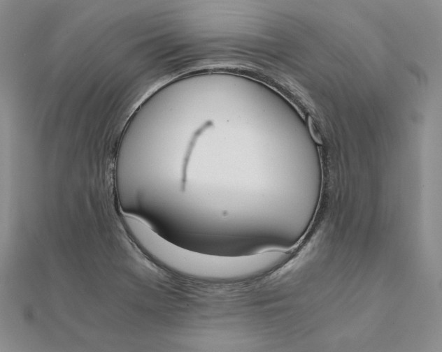 X0000111431369200908031322