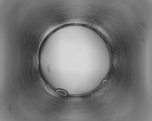 X0000111431372200908031322