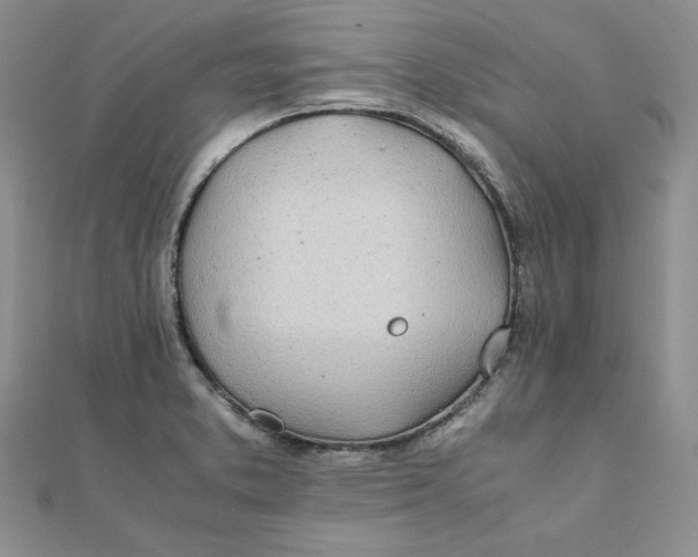 X0000111431373200908031322