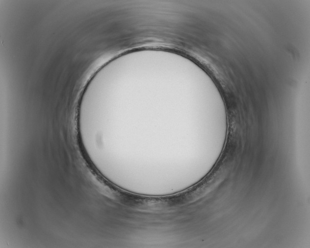 X0000111431375200908031322