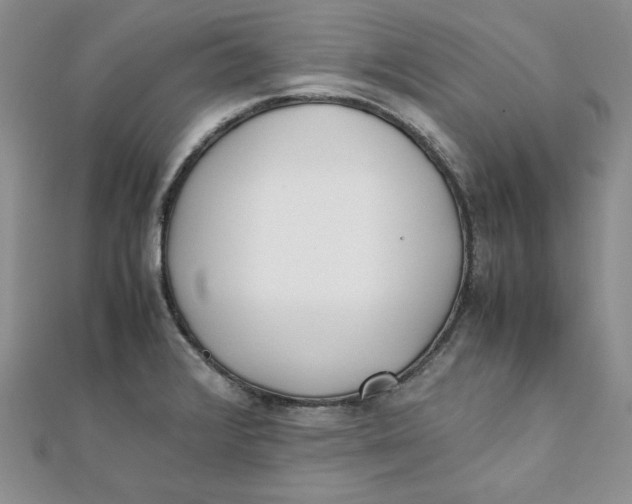 X0000111431376200908031322