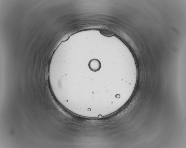 X0000111431377200908031322