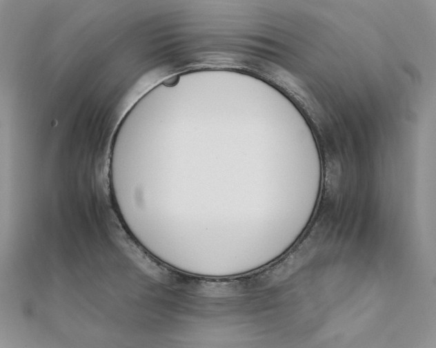 X0000111431378200908031322