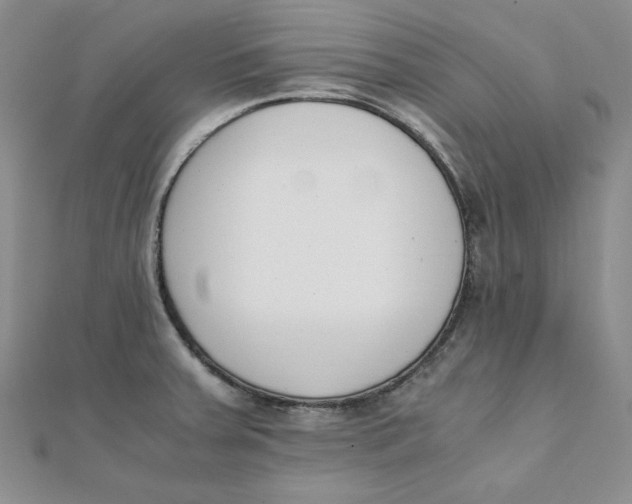 X0000111431379200908031322