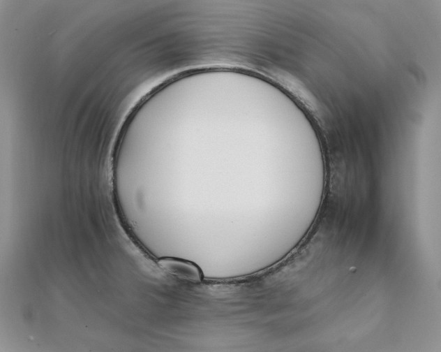 X0000111431380200908031322