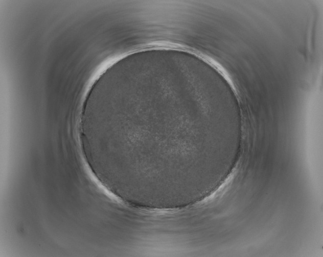 X0000111431381200908031322