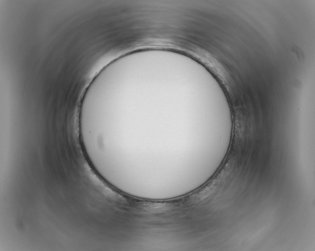 X0000111431382200908031322