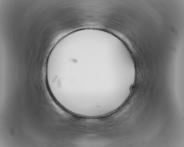 X0000111431383200908031322